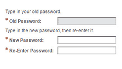 A password reset screen